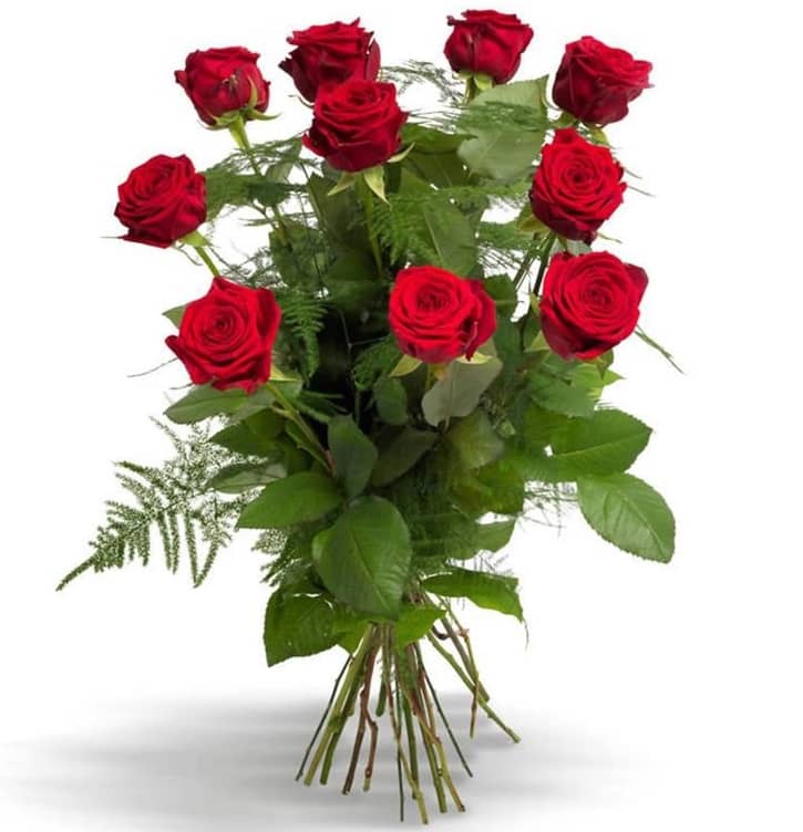 10 Red Roses