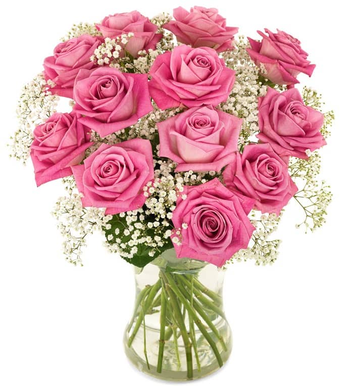 12 Pink Roses