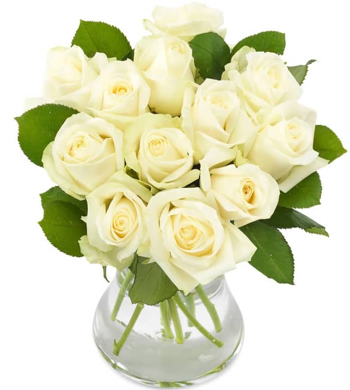 12 White Roses