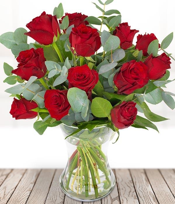 12 Red Roses