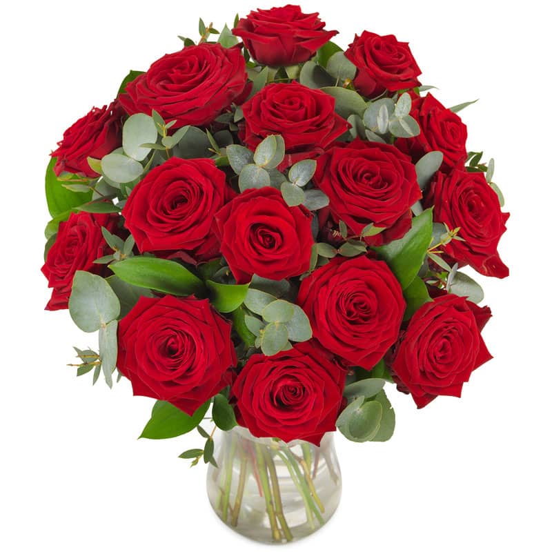 15 Red Roses