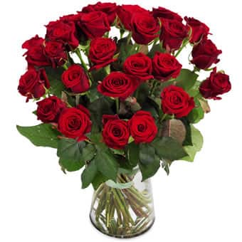 24 Red Roses