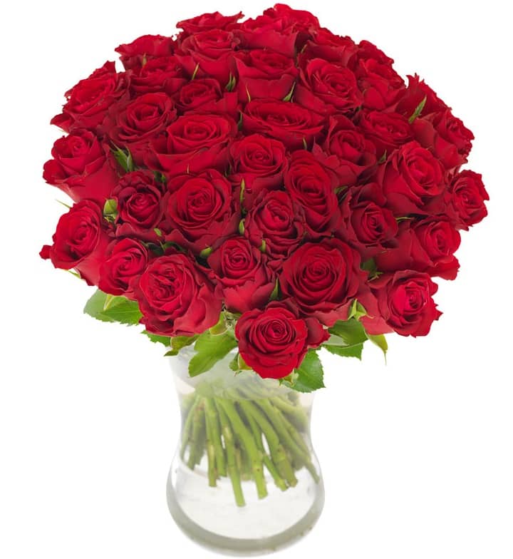 40 Red Roses
