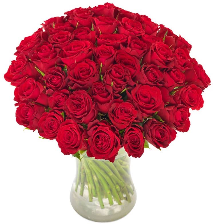 50 Red Roses