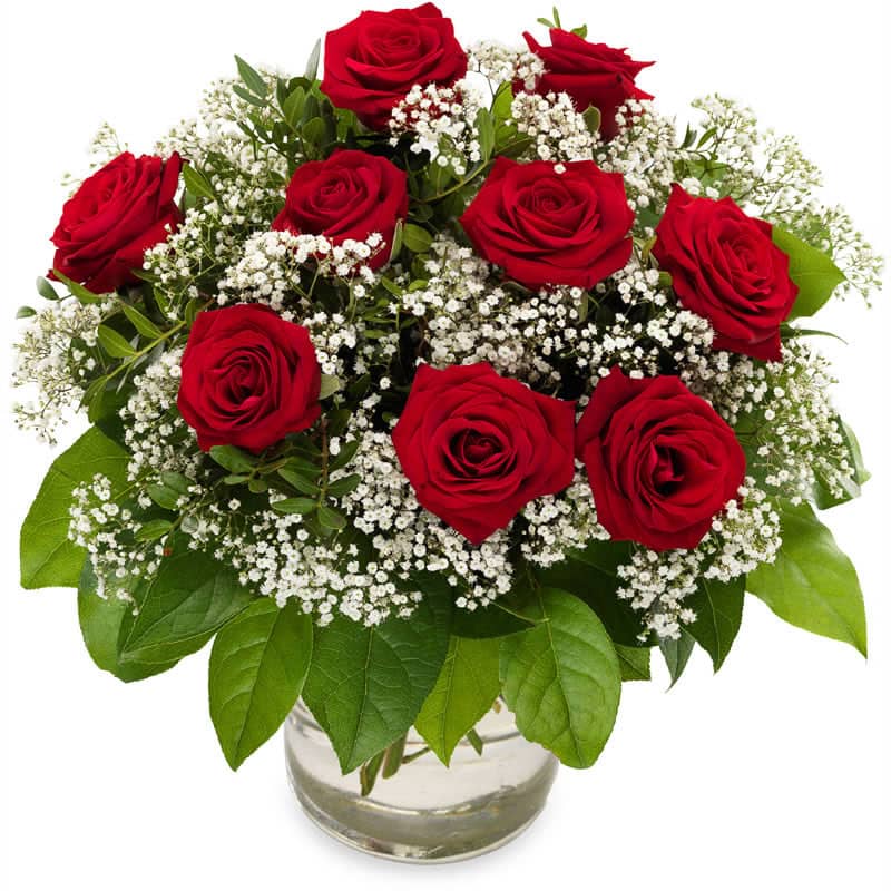 9 Red Roses