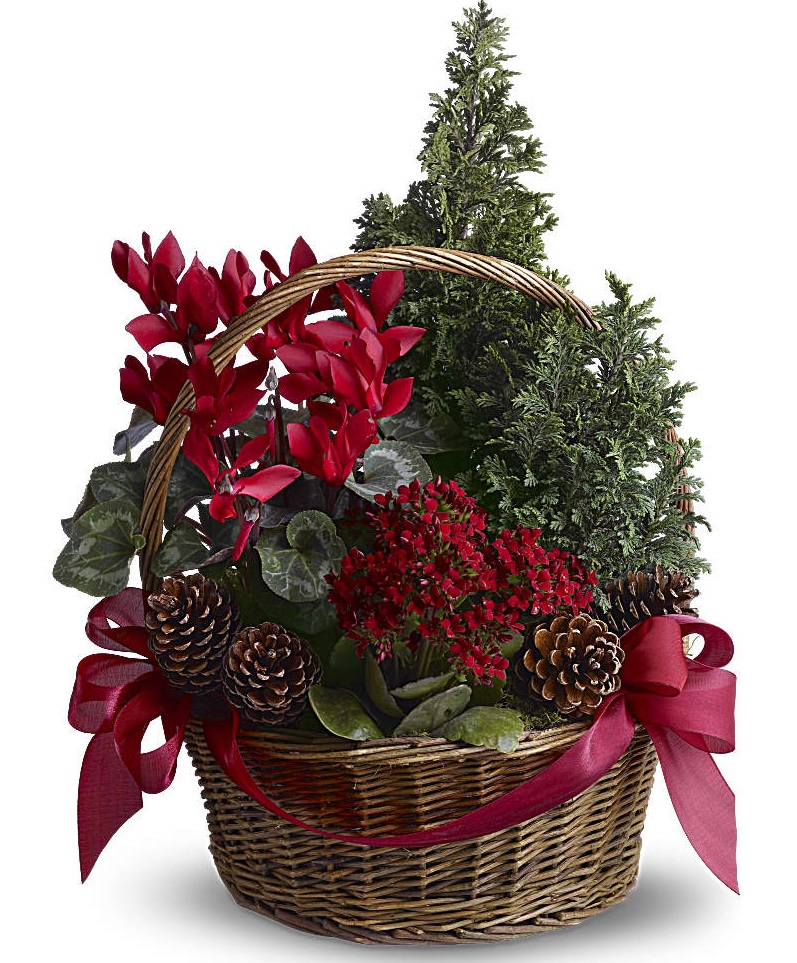 Christmas Plant Basket