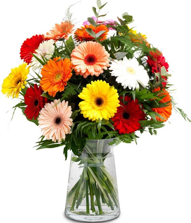 Gerberas Bouquet