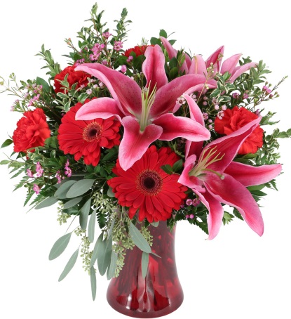 Joy of Love