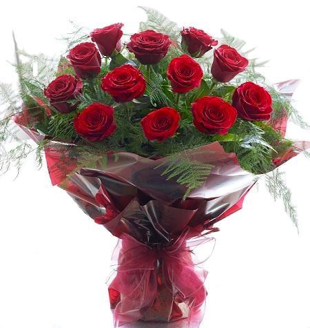 Passionate Roses