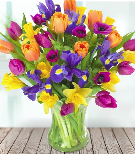 Vibrant Spring