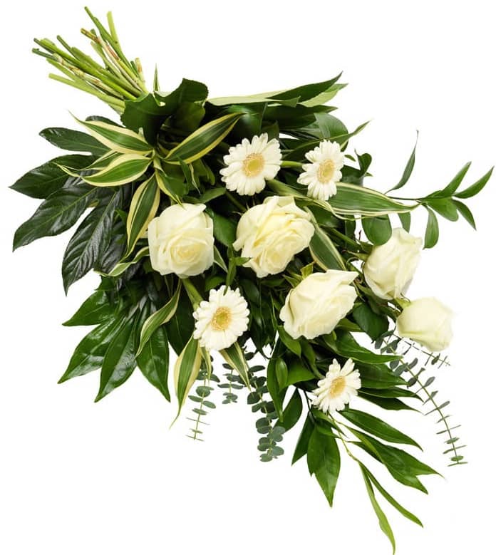 White Grace