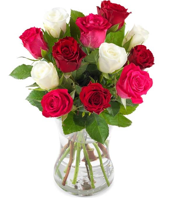 Send Roses Online Fresh Roses Delivery in Malta